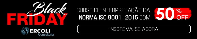 Curso ISO 9001 Ercoli Consultoria Blumenau
